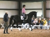 ness-steffenclinic02