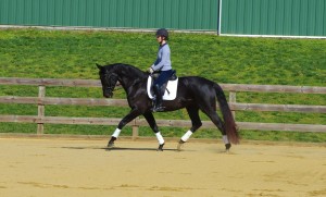 Silhouette and Siobhan