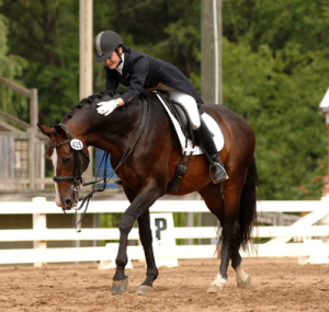 Routinier and Siobhan Byrne at Dressage at Lexington