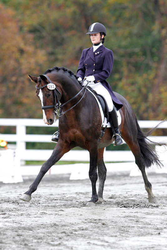 Routinier BLM Finals 2011