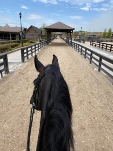 Heading for a schooling session at TIEC